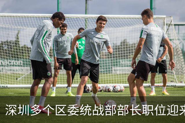 深圳多个区委统战部部长职位迎来调整